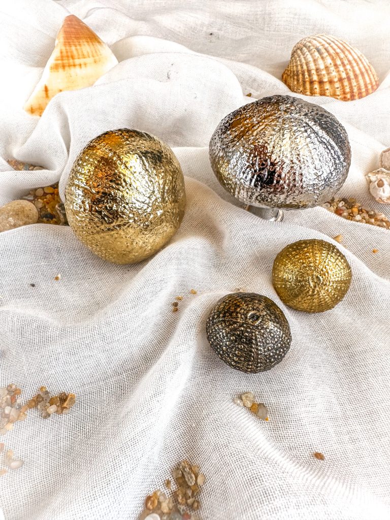 SEASHORE SERENITY: REFRESH YOUR HOME WITH PULLCAST SUMMER DECOR COLLECTION