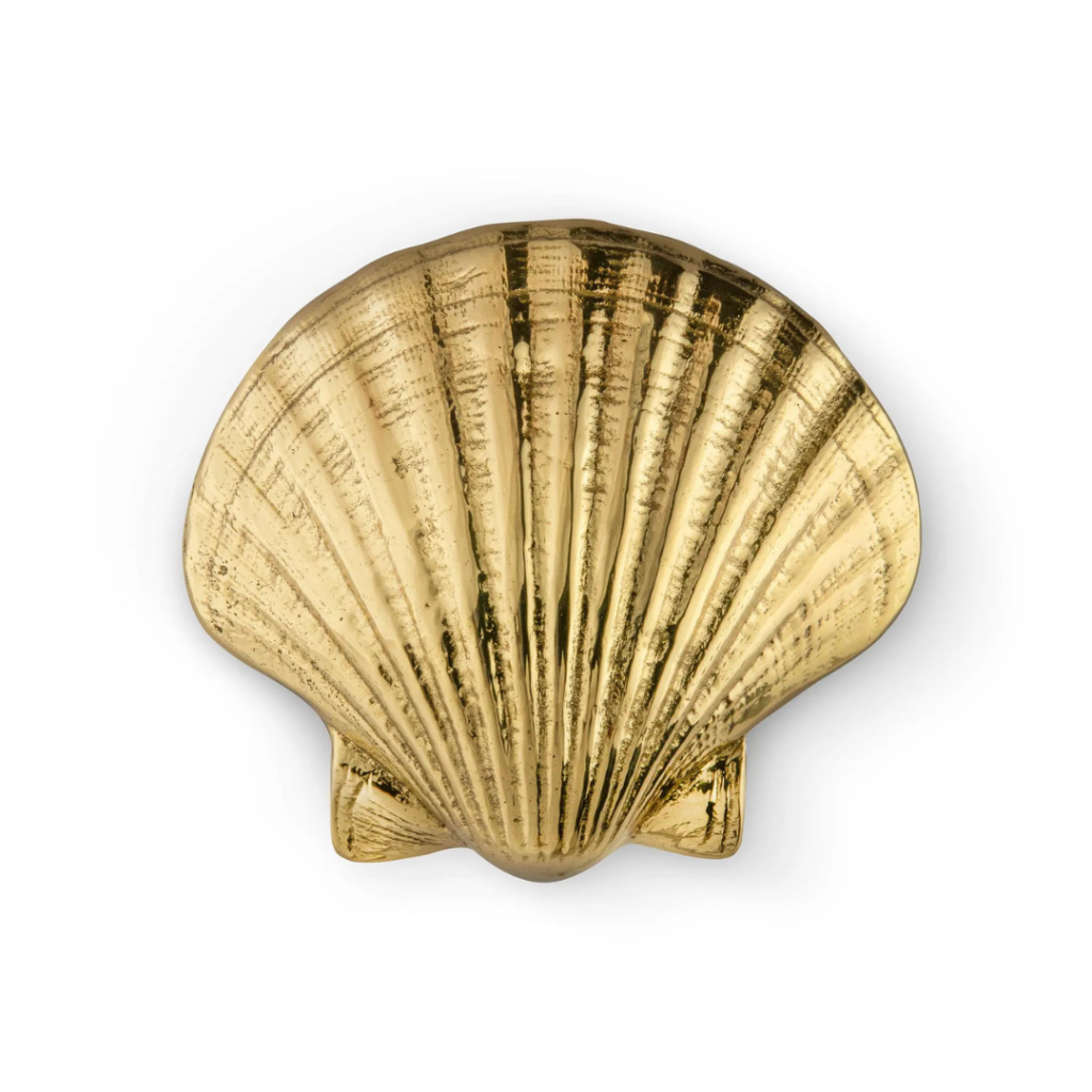Seashell Drawer Handle | PullCast